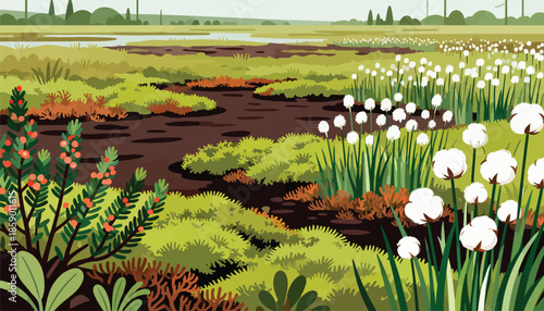 Lush wetland with cotton plants, grasses, and flowering shrubs