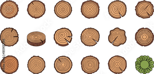 Tree Trunk Cross Sections and Wood Texture Annual Rings Icon Set - Flat Vector Illustration