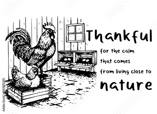 Thankful for the Calm Living Close to Nature Rooster and Hen Illustration