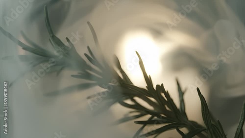 Rosemary Twig Floating in Glass With Smoke Against Candle Light