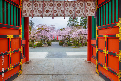 Traditional Japanese shrine gate adorned with beautiful cherry blossoms at Fujisan Hongu Sengen Taisha Shrine Fujinomiya Shizuoka Japan