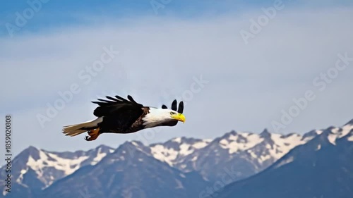 Majestic bald eagle soaring through clear blue sky with snow-capped mountains