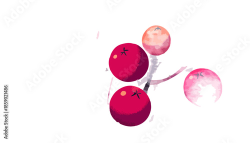 Transparenter Aquarellstil von roten Beeren auf einem Ast mit sanften rosa Akzenten