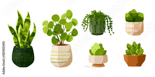 Sammlung von sechs verschiedenen grünen Zimmerpflanzen in dekorativen Töpfen, isoliert auf weißem Hintergrund.