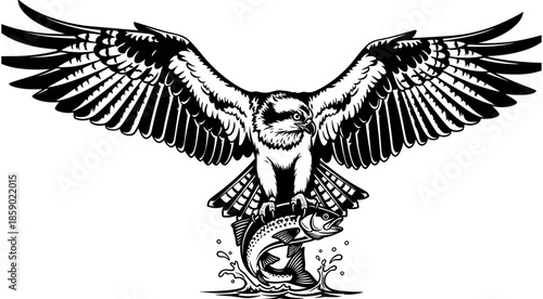 Powerful eagle hunting fish vector illustration with spread wings, majestic predatory bird catching trout from water for outdoor nature design