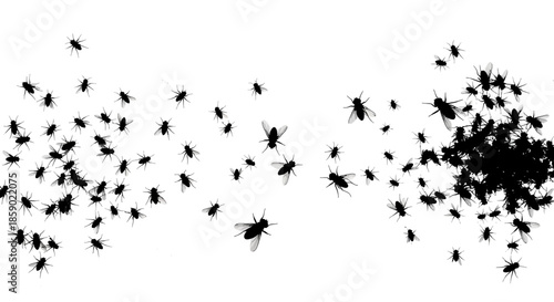 A swarm of black insects flying on isolated