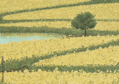 Canola field oil pastel illustration art vector