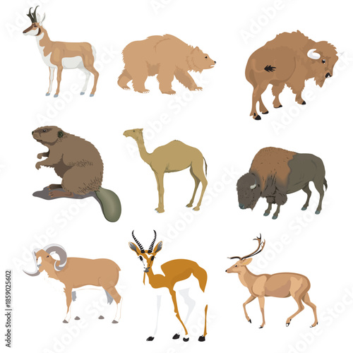 Wild Mammals Vector Illustration Set: Bear, Bison, Camel, and Deer