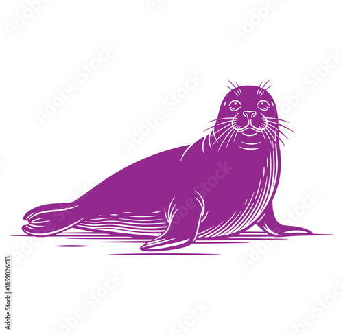 Purple seal illustration lying on ground looking up  animal graphic
