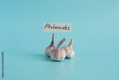 Garlic is a natural antiseptic and medicinal product. A garlic bulb in a cart in close-up on a light background and the inscription 