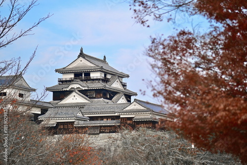 Japanese Castle Scenery with Autumn Foliage at Matsuyama Castle in Ehime Prefecture, Japan