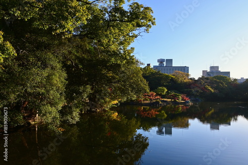 Ritsurin Garden Landscape with Reflective Pond in Takamatsu, Kagawa Prefecture, Japan