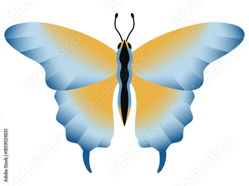 Blue Butterfly