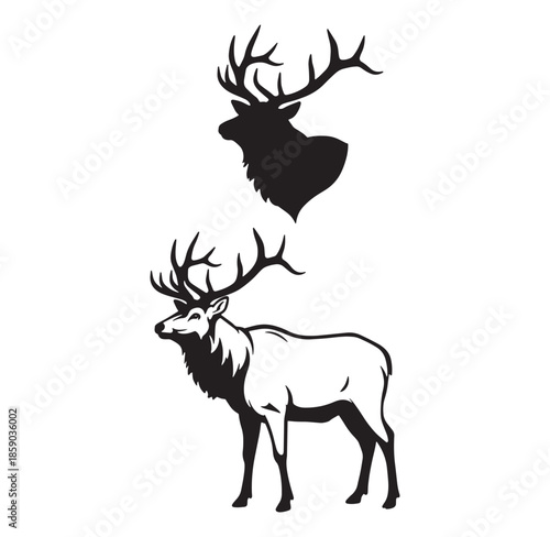 Artistic illustration featuring two deer silhouettes depicting stag head and standing bull elk