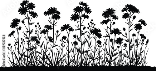 Wildflower silhouette vector border, nature meadow field illustration, daisy plant black design, spring garden floral grass background collection set.
