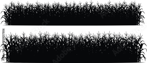 Corn field silhouette vector, maize crop agriculture background, farm nature plant design, black grass border illustration
