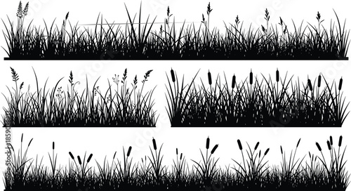 Grass silhouette vector collection, nature field border illustration, black meadow plants set, wild reed vegetation background, summer garden landscape design.