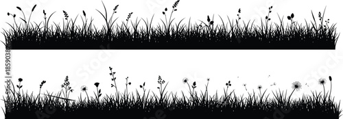 Grass field silhouette vector border, wildflower meadow nature illustration, dandelion plant black design