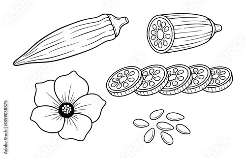 Hand drawn okra vegetable food set with flower and seeds isolated on transparent