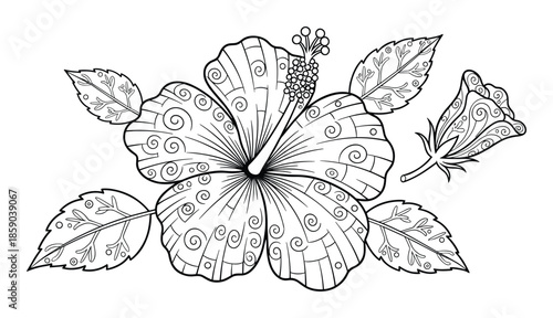 Hibiscus outline drawing for coloring with tropical foliage isolated flower petal decoration