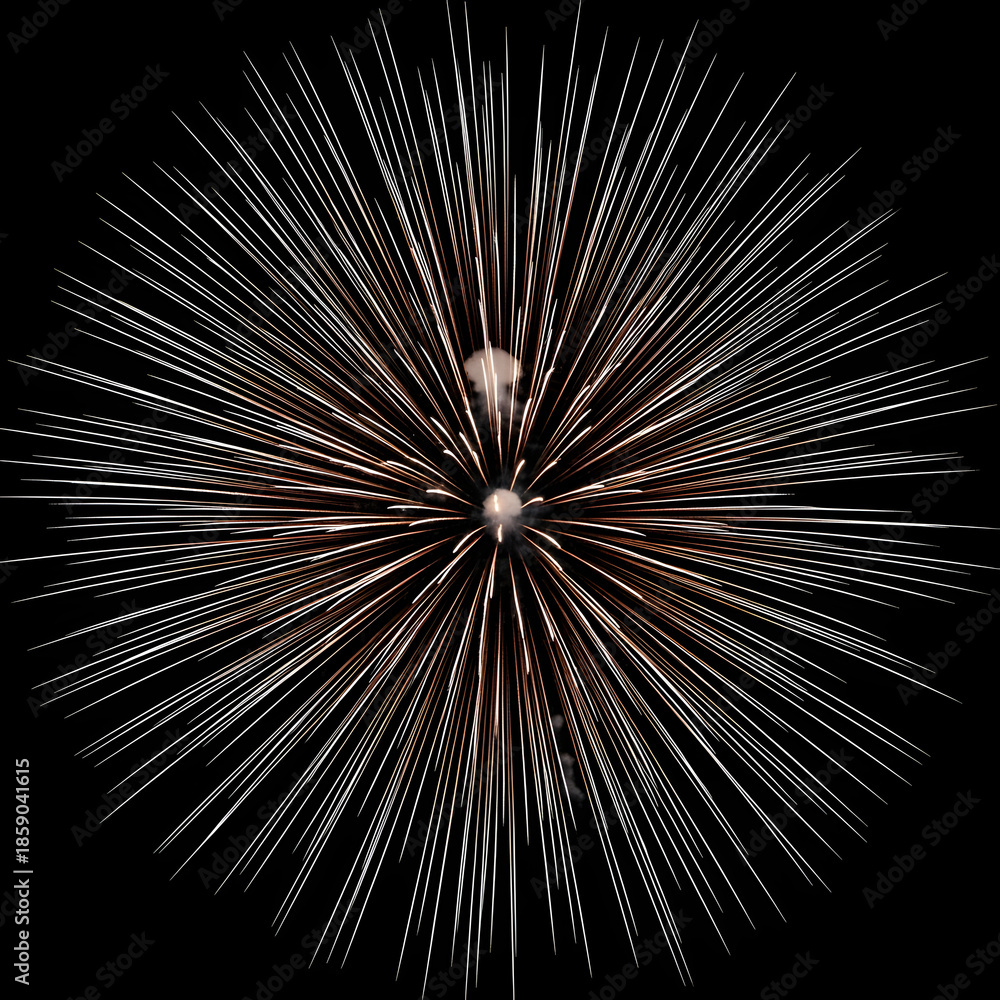 Obraz premium Close-up shot of a vibrant firework exploding in a radial burst of colorful lights against a dark background with a dynamic and celebratory mood.