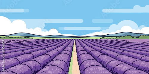 A lush green vineyard landscape stretches across the rural hills of Tuscany and Provence under a blue summer sky where rows of agriculture meet the horizon near a French farm