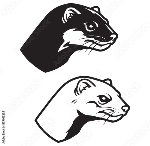 Vector illustration of two weasel head portraits in black and white minimalist style