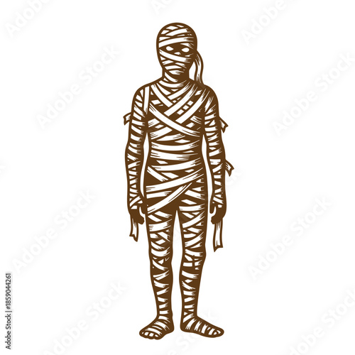 Vintage A brown illustration of a wrapped mummy standing on white background  horror character
