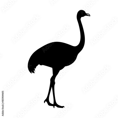 A ostrich icon bold outline vector illustration design