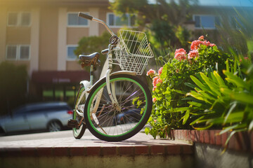 Leinwandbilder Fahrrad Beach Cruiser auf sonniger Strasse  © logoboom