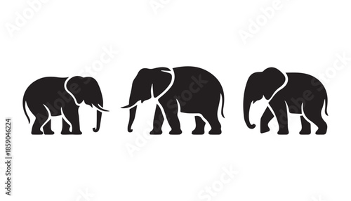 black color elephant set silhouette vector illustration, solid white background