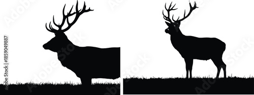 Two reindeer silhouettes on a white background against a grassy horizon line