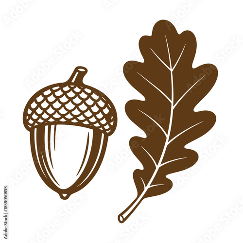 Vintage Brown oak leaf and acorn illustration on white background for nature designs