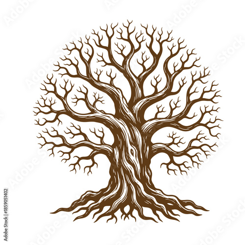 Vintage Brown tree with many branches and roots on white background