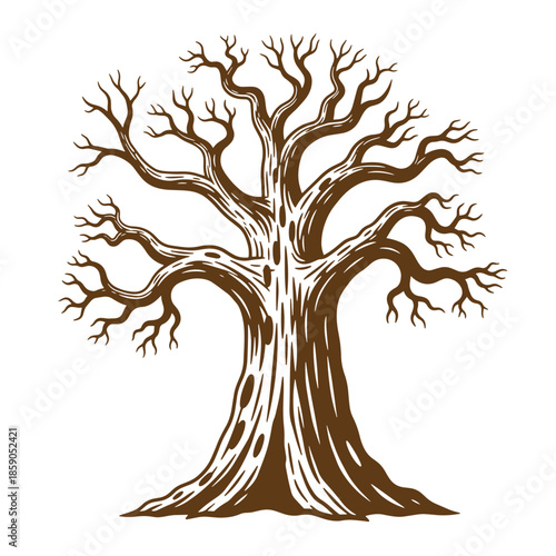 Vintage Illustration of a large brown tree with many branches and a thick trunk isolated on white background