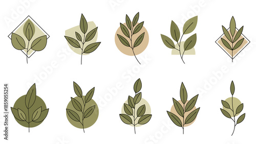 Minimalist leaf illustrations in earthy tones for design projects