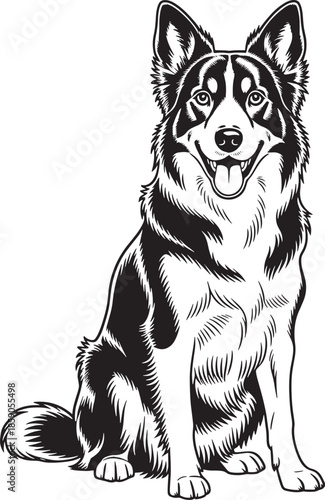 alert Border Collie cheerful sitting husky dog illustration showcasing its striking features and friendly expression