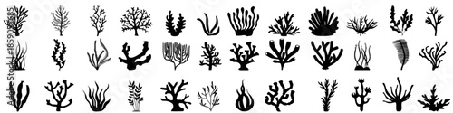 Nature algae seaweed plants set in the ocean and aquarium or garden for decoration and design illustration