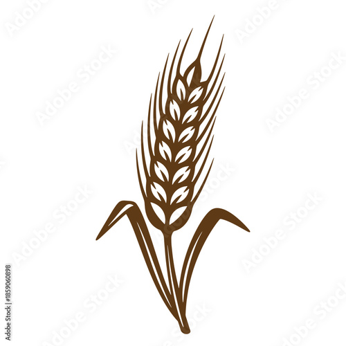 Vintage Brown wheat ear illustration isolated on white background for food and agriculture concepts