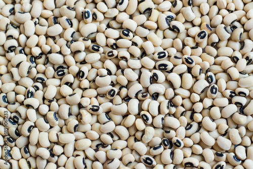 Black-eyed pea or cowpeas an old world plant domesticated in Africa,background