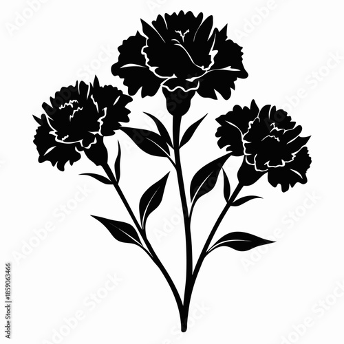 carnations flower silhouette on white background