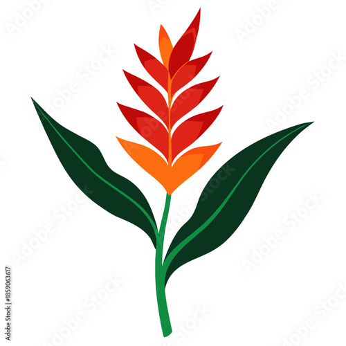  heliconia rostrata flower silhouette with branch on white background