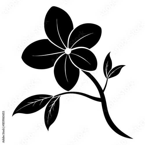 black and white flower