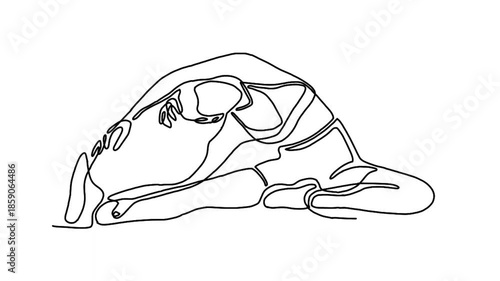 Continue line animation of woman doing morning workout
