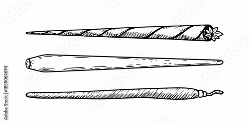 Detailed illustration of a nautilus shell in various perspectives and views