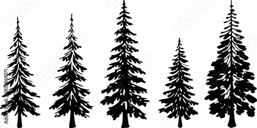 Simple black and white illustration of a group of coniferous trees