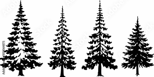 Silhouette of four evergreen trees against a plain white background