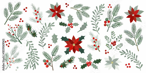 Festive winter botanical illustrations with poinsettias holly and evergreen branches