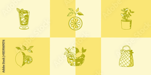 A summery composition of citrus fruits drinks and accessories in green hues