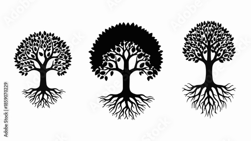 Three stylized trees with visible roots, representing growth and nature.